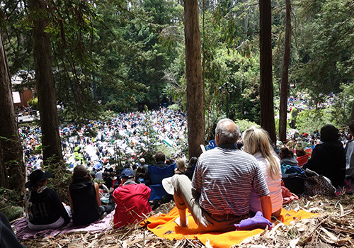 stern grove san francisco